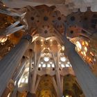 Sagrada Familia 2017