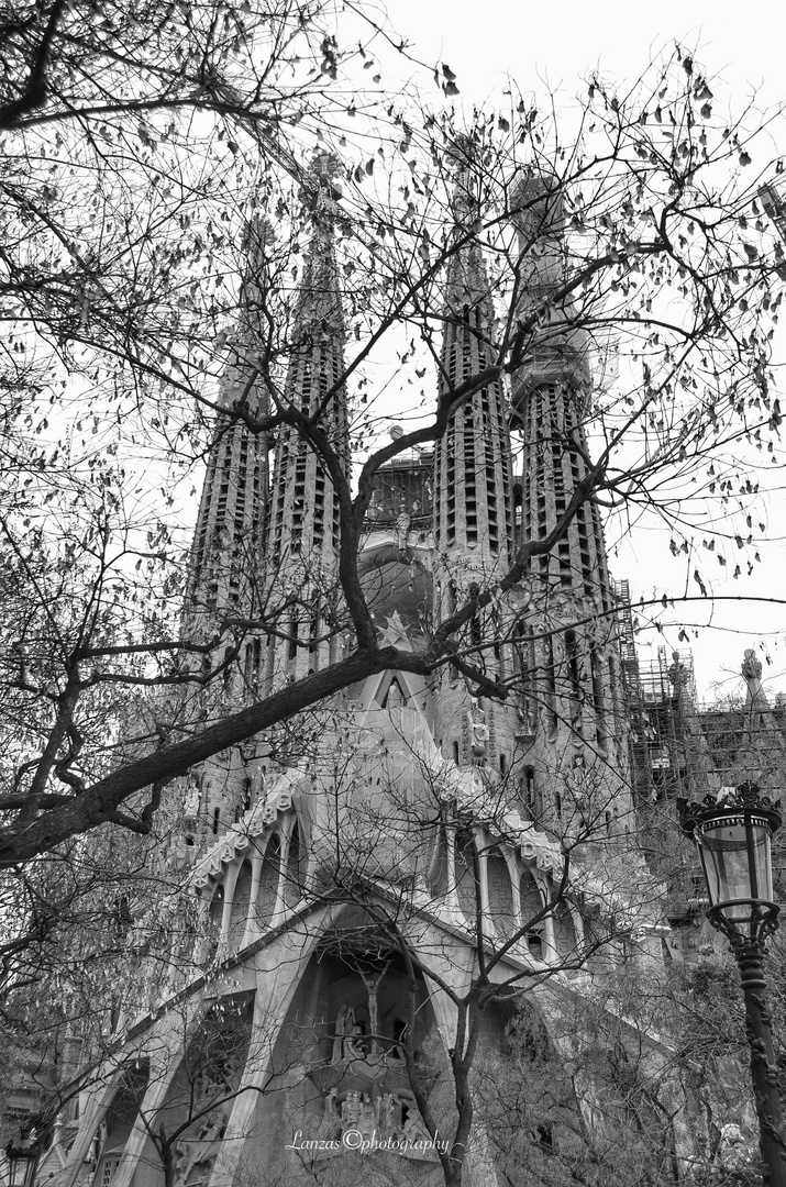 Sagrada Familia 