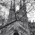 Sagrada Familia 