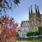 Sagrada Familia, Barcelona