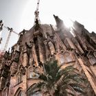 Sagrada Familia Barcelona 2