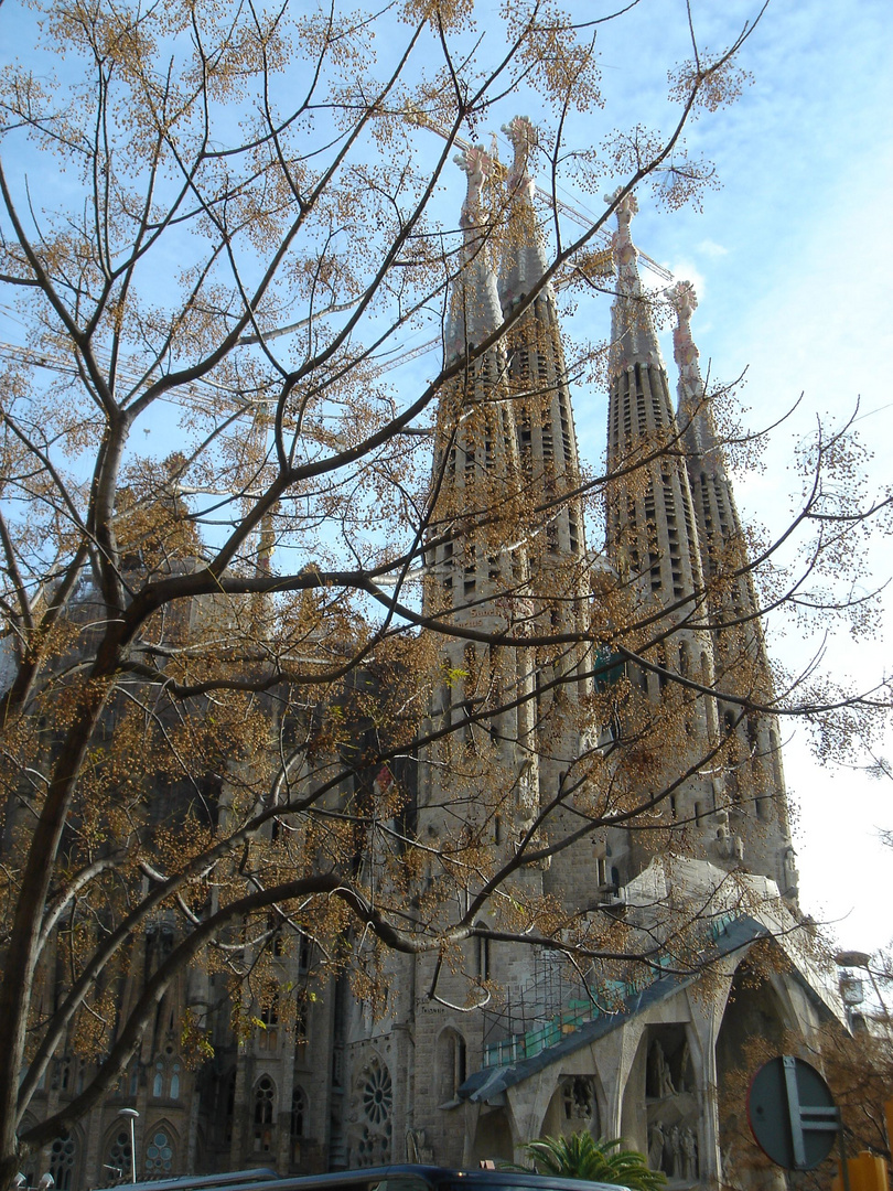 Sagrada Familia - Barcelona