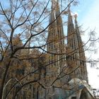 Sagrada Familia - Barcelona