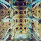 Sagrada Família Ceiling