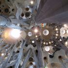 Sagrada Familia (Decke) Barcelona