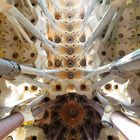 Sagrada Familia - Deckenstruktur