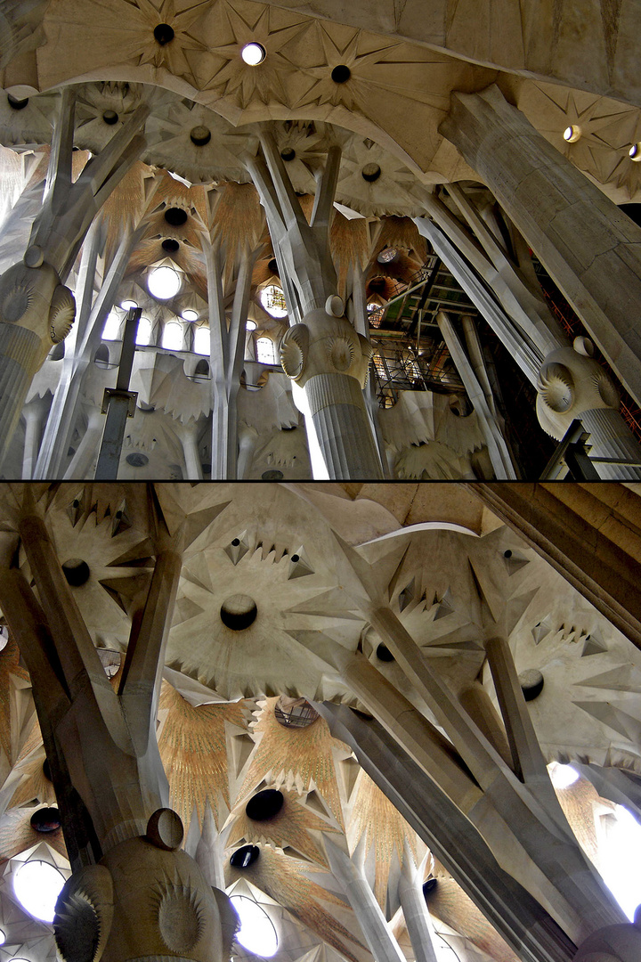 Sagrada Família, Detail of Architecture & Structure of the Nave Columns & Vaulting