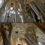 Sagrada Família, Detail of Architecture & Structure of the Nave Columns & Vaulting