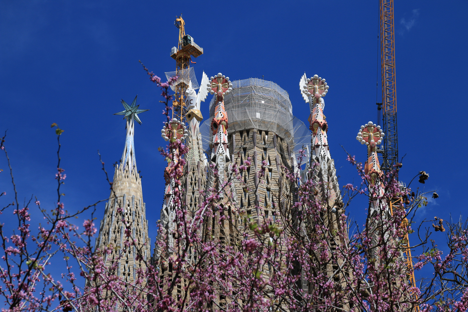 Sagrada Familia