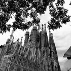 Sagrada Familia I. BCN