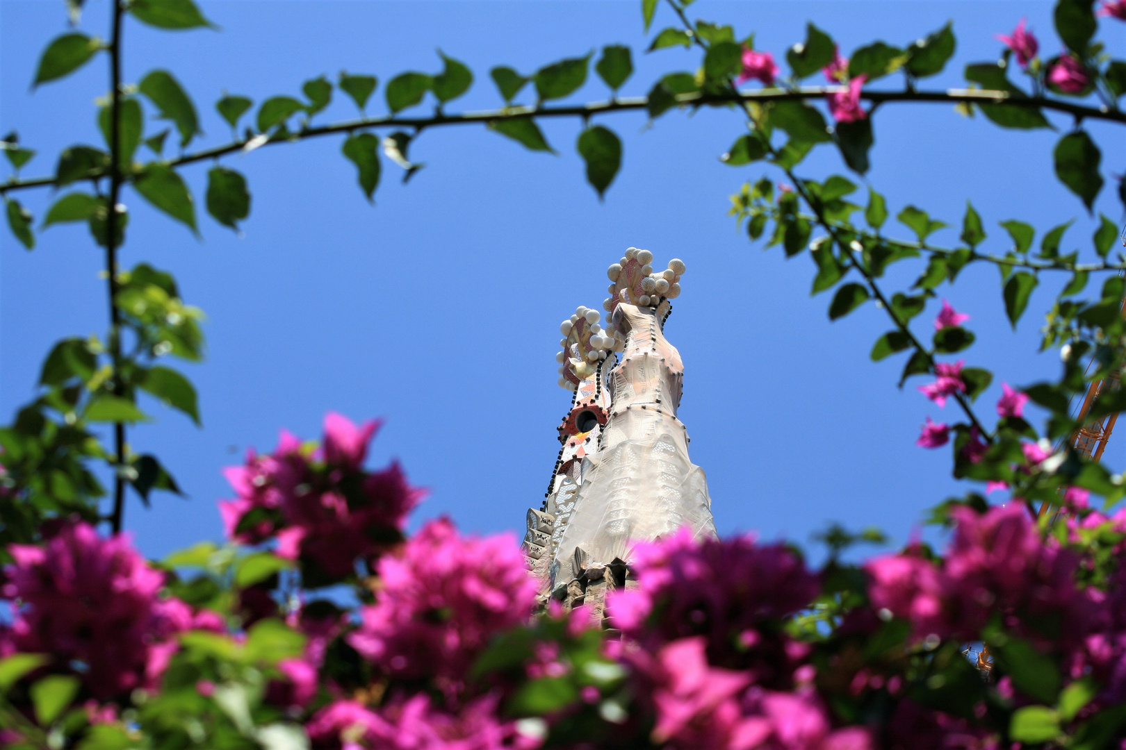 Sagrada Familia II ....