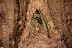 Sagrada Familia in Barcelona - Detail