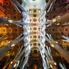 Sagrada Familia, Innenraum