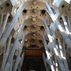 Sagrada Familia interior