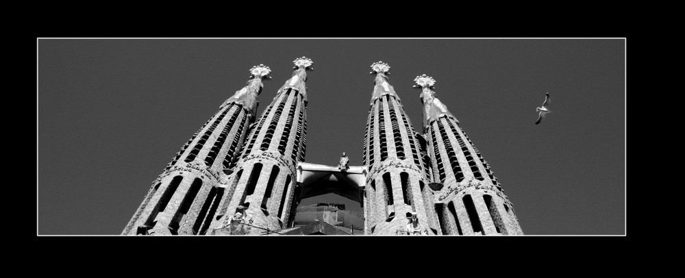 Sagrada Familia o gabbiano?