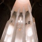 Sagrada Familia VI