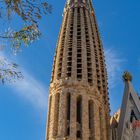 Sagrada Familia XI - Barcelona