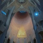 Sagrada Familia XVI - Barcelona