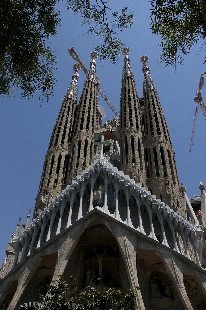 Sagrada ( frontal )