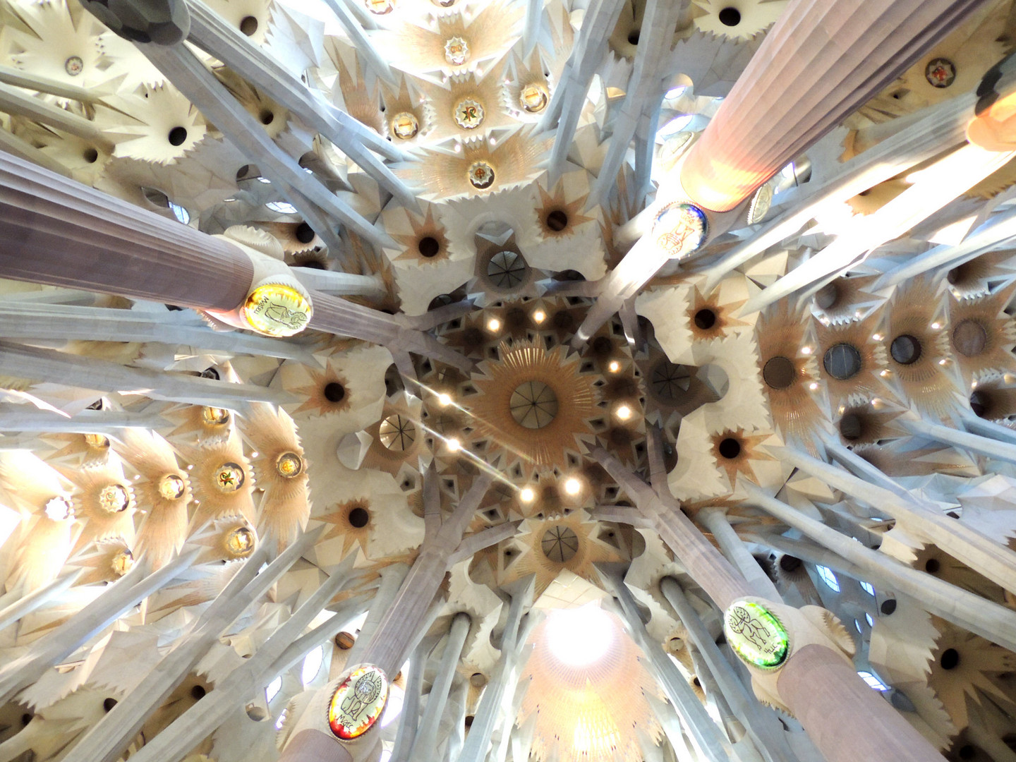 Sagrada Roof