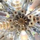 Sagrada Roof