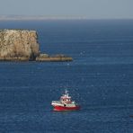 SAGRES - Frische Fische & Möwenschwarm