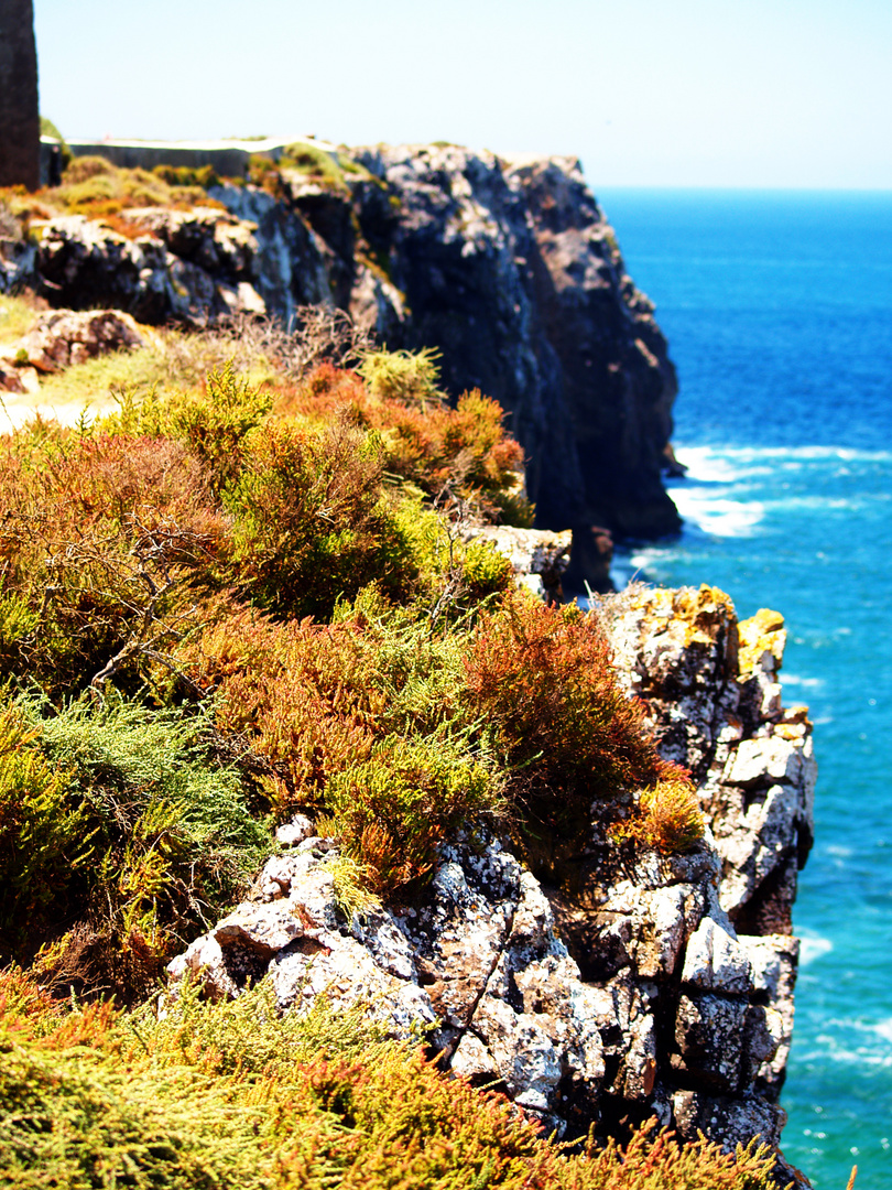 Sagres, Gräser, Meer