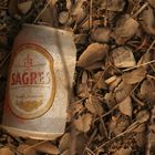 Sagres - Stillleben mit Bier und Korkeichenblättern im Alentejo/ Portugal