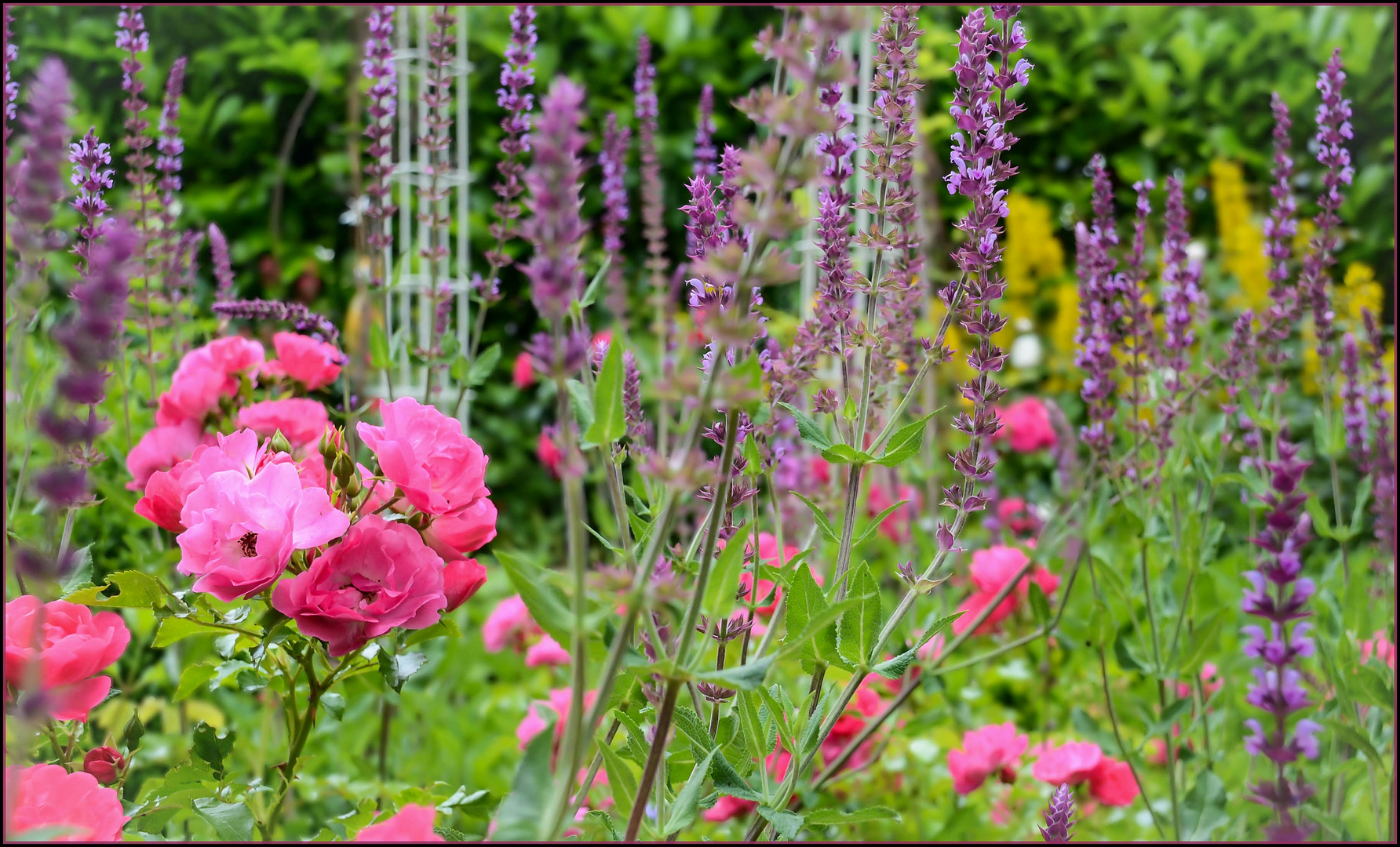 Sag`s mit Blumen ;--))