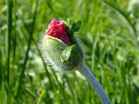 Sagt bloss, es geht schon wieder los