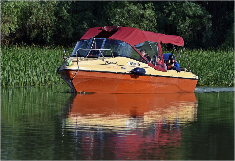 Sagt man auf dem Wasser eigentlich auch, wir fahren im Schritttempo?