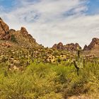 Saguaro Hill