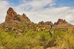 Saguaro Hill