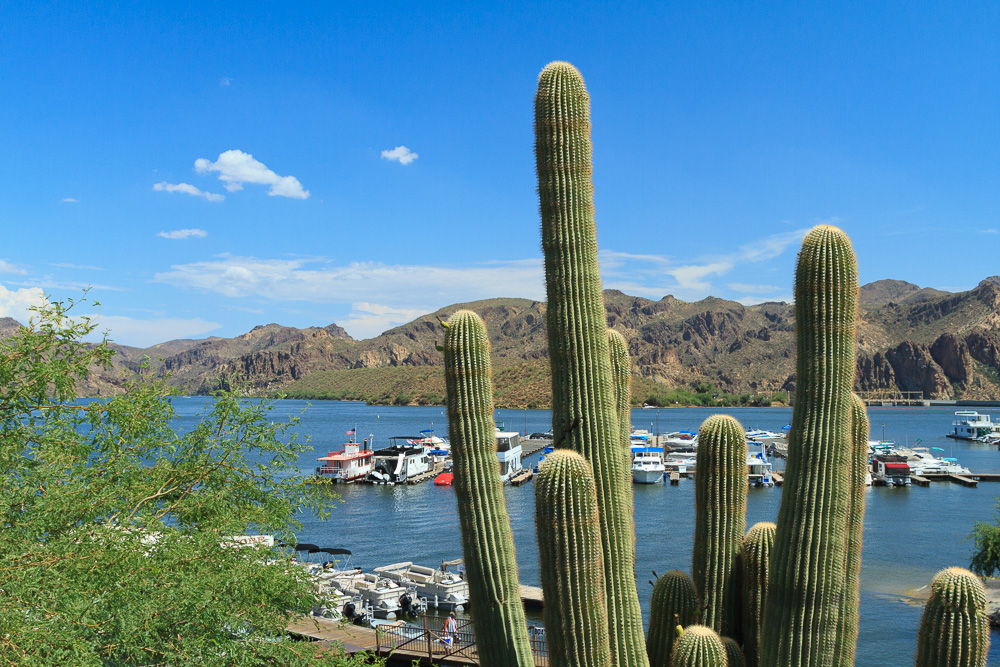 Saguaro Lake