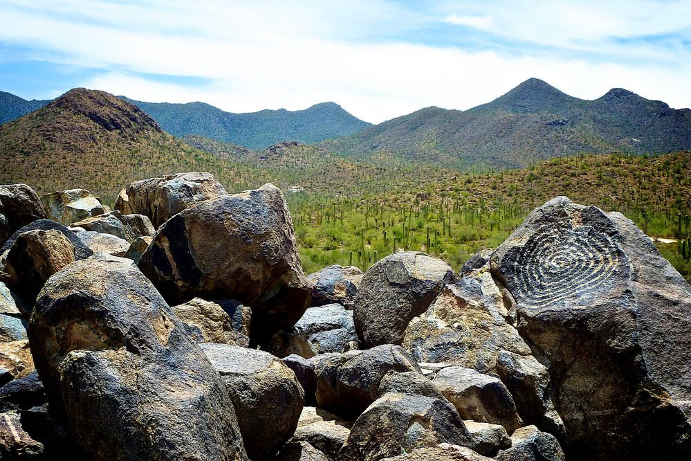 Saguaro NP