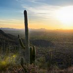 Saguaro NP Valley View