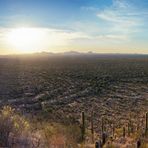 Saguaro Pano ...