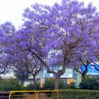 Sagunto, Espagne