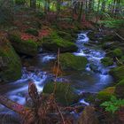 Sagwasser im Nationalpark Bayerischen Wald