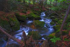 Sagwasser im Nationalpark Bayerischen Wald