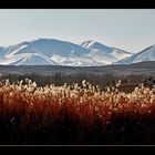 Sahand mountain from Guri gol lake