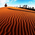 Sahara