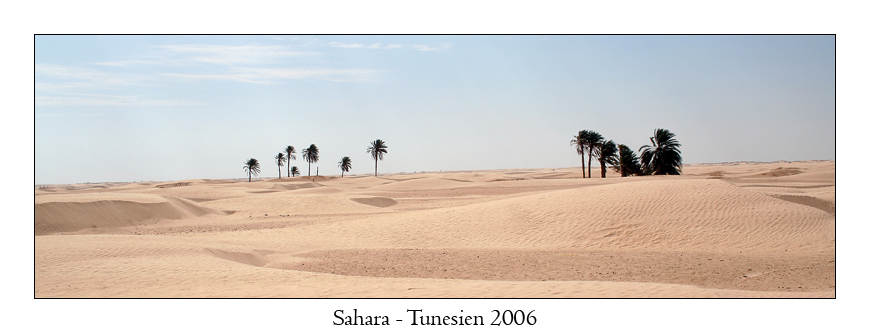 Sahara #1