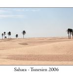 Sahara #1