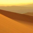 Sahara