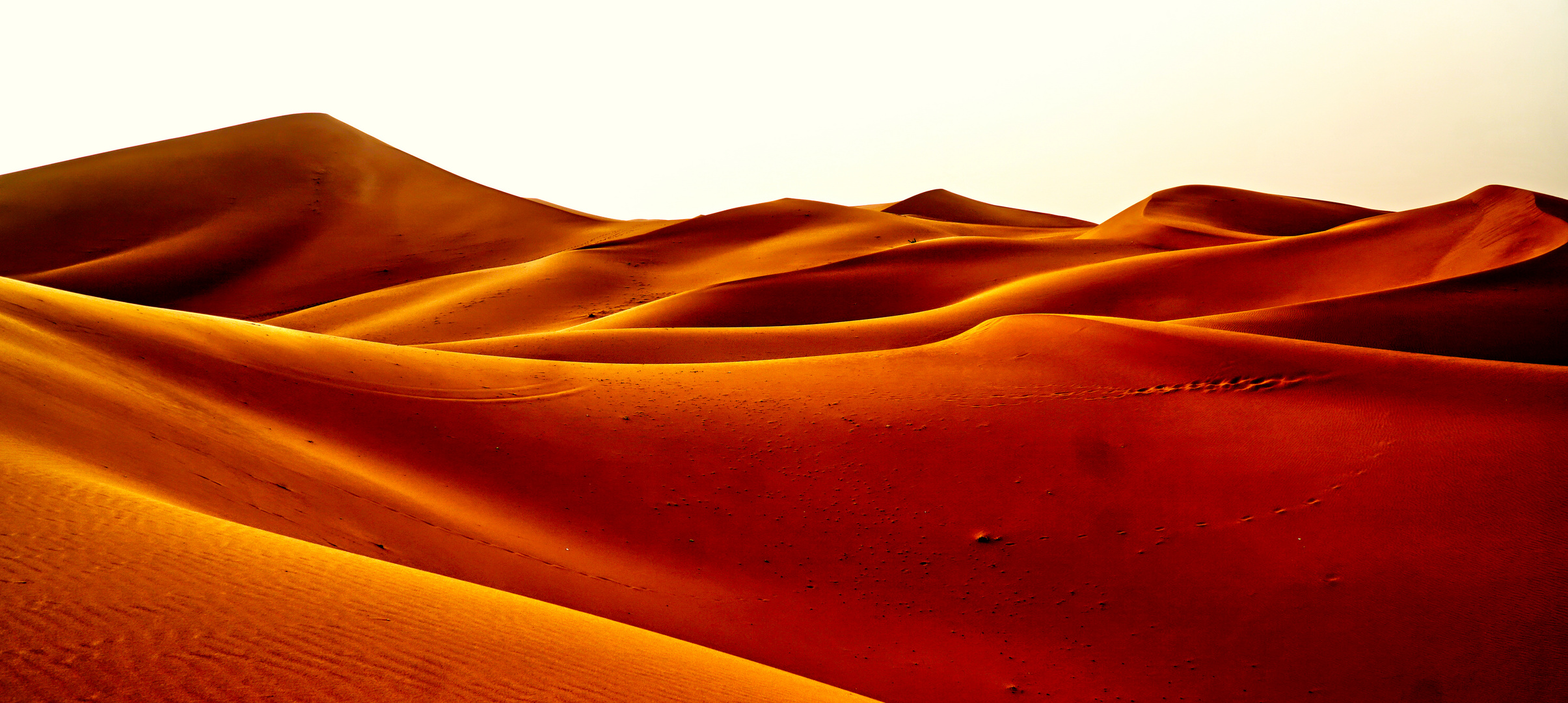 Sahara