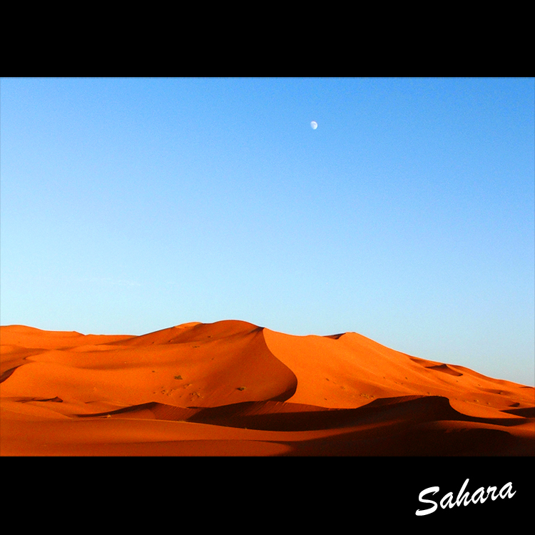 Sahara