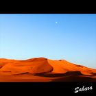 Sahara