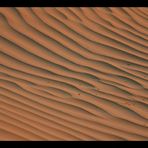 Sahara