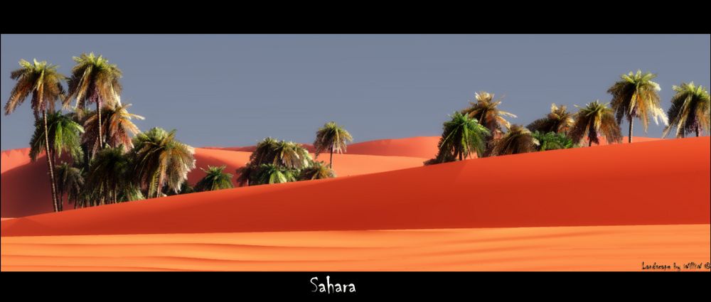 Sahara